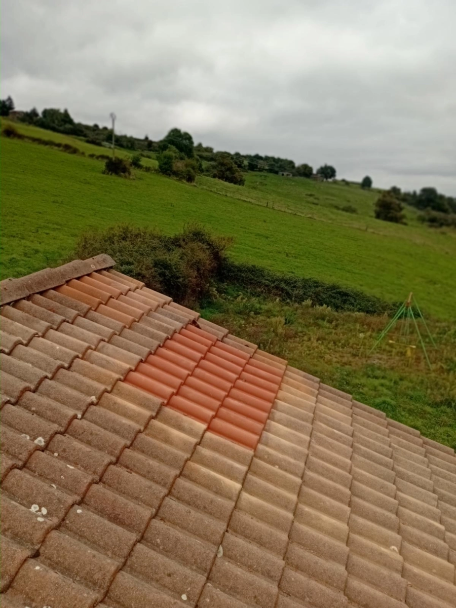 Démoussage de toiture en tuiles en milieu rural par Muller Toiture, Nord-Isère