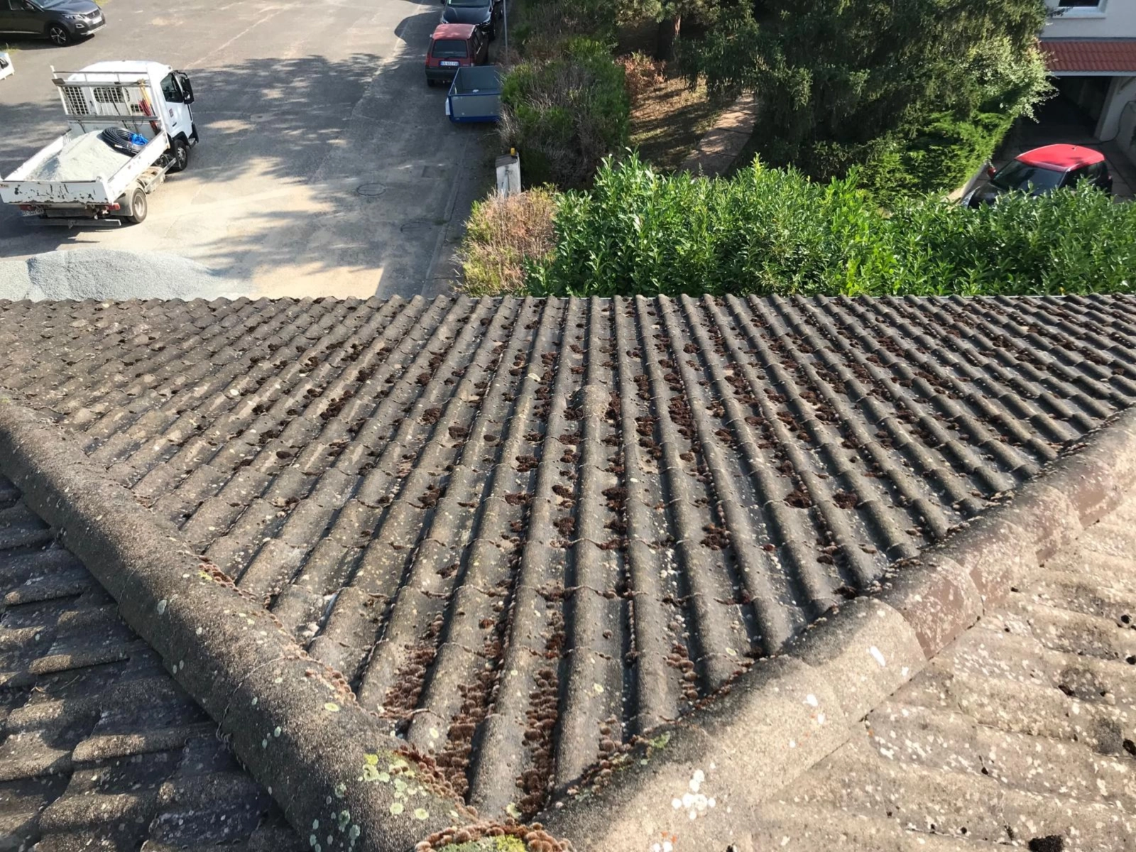 Toiture en tuiles béton envahie de mousse et lichens, état avant démoussage par Muller Toiture